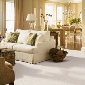 Chic Carpet | Carpet Empire Plus