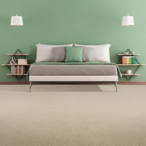 Neutral Carpet | Carpet Empire Plus