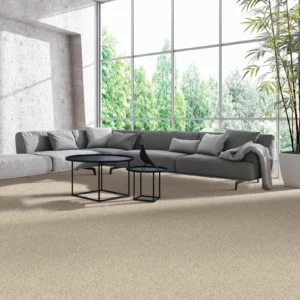 Modern Carpet | Carpet Empire Plus