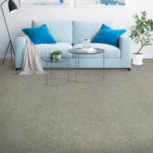 Contemporary Carpet | Carpet Empire Plus