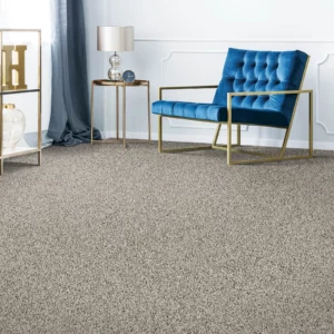 Attractive Carpet | Carpet Empire Plus