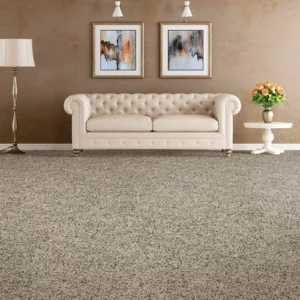 Soft Carpet | Carpet Empire Plus