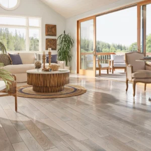 Gorgeous Hardwood | Carpet Empire Plus