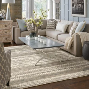 Woven Area Rug | Carpet Empire Plus